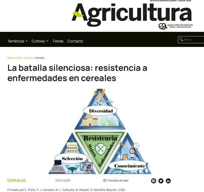 La batalla silenciosa: resistencia a enfermedades en cereales