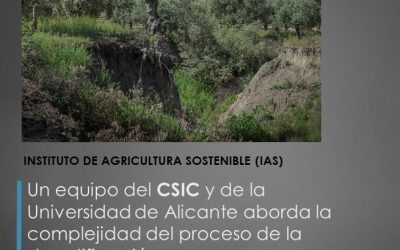 Un equipo del CSIC y de la Universidad de Alicante aborda la complejidad del proceso de la desertificación