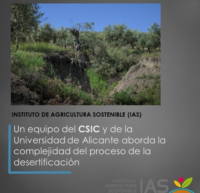 Un equipo del CSIC y de la Universidad de Alicante aborda la complejidad del proceso de la desertificación