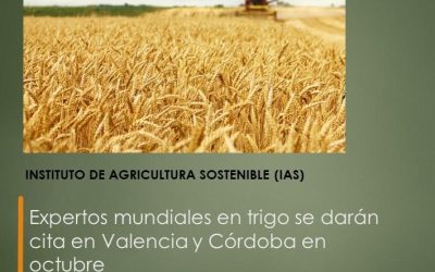 Expertos mundiales en trigo se darán cita en Valencia y Córdoba en octubre