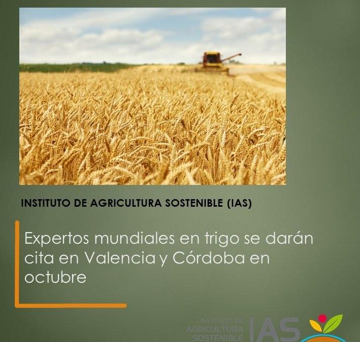 Expertos mundiales en trigo se darán cita en Valencia y Córdoba en octubre
