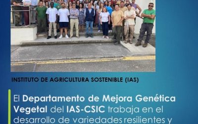 El Departamento de Mejora Genética Vegetal del IAS-CSIC trabaja en el desarrollo de variedades resilientes y de alto valor añadido