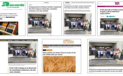 Seguimiento Noticia: El Departamento de Mejora Genética Vegetal del IAS-CSIC trabaja en el desarrollo de variedades resilientes y de alto valor añadido
