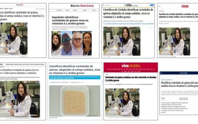 Seguimiento Noticia:  Identifican variedades de quinoa adaptadas al campo andaluz ricas en vitamina E y ácidos grasos