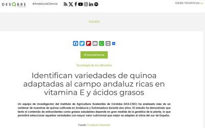 Identifican variedades de quinoa adaptadas al campo andaluz ricas en vitamina E y ácidos grasos