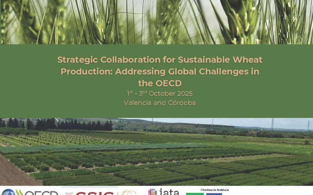 Workshop Strategic Collaboration for Sustainable Wheat Production: Addressing Global Challenges in the OECD