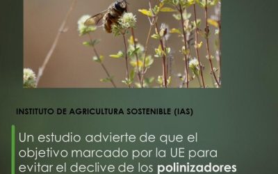 Un estudio advierte de que el objetivo marcado por la UE para evitar el declive de los polinizadores no es suficiente