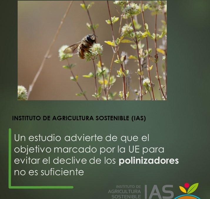 Un estudio advierte de que el objetivo marcado por la UE para evitar el declive de los polinizadores no es suficiente