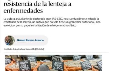 Agricultura sostenible: estudiando la resistencia de la lenteja a enfermedades – Nazaret Romero