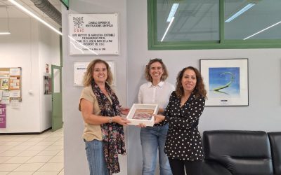 Entrega azulejo conmemorativo IV Congreso Científico Internacional Eurociencia Joven
