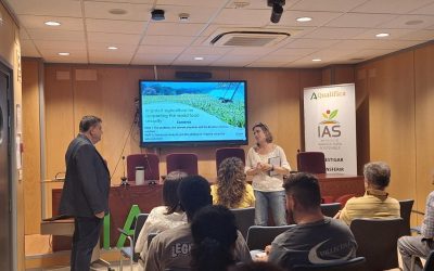 Agricultura sostenible: una solución estratégica brasileña para la seguridad alimentaria mundial – Durval Dourado Neto