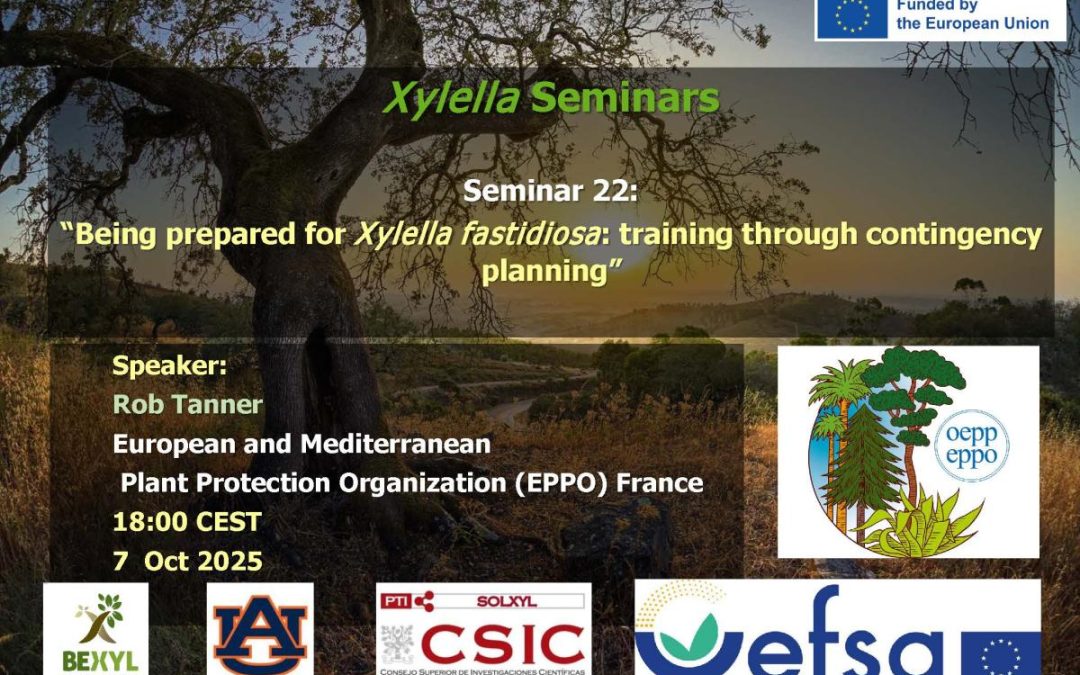 22nd Xylella Seminar – Being prepared for Xylella fastidiosa: training through contingency planning
