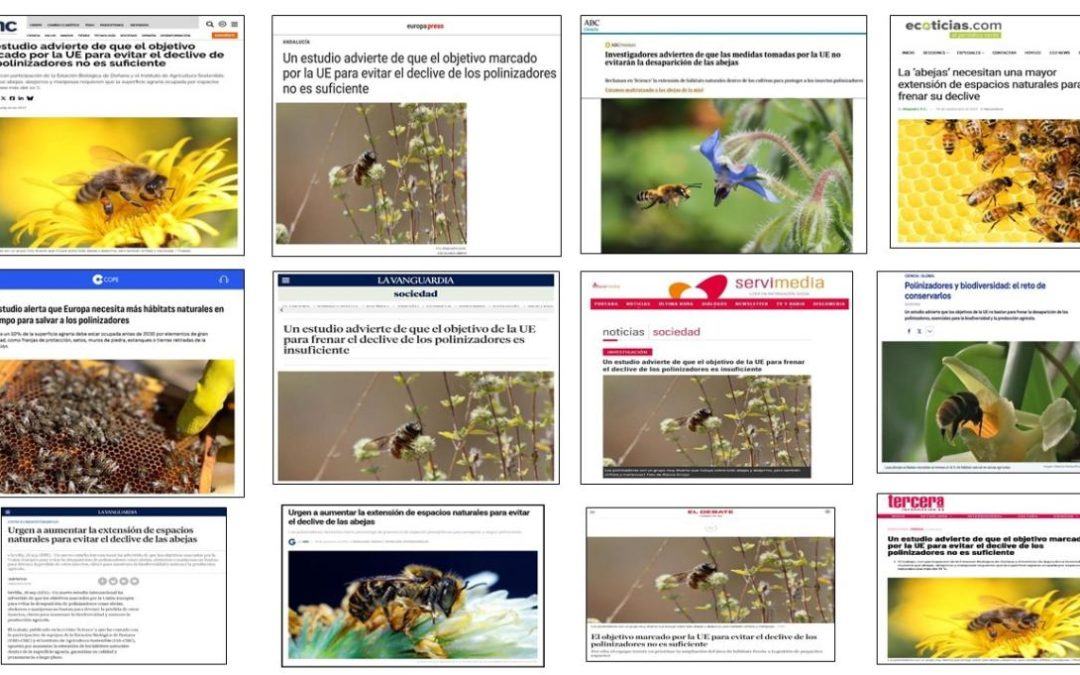 Seguimiento Noticia: Un estudio advierte de que el objetivo marcado por la UE para evitar el declive de los polinizadores no es suficiente
