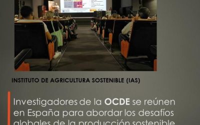 Investigadores de la OCDE se reúnen en España para abordar los desafíos globales de la producción sostenible de trigo