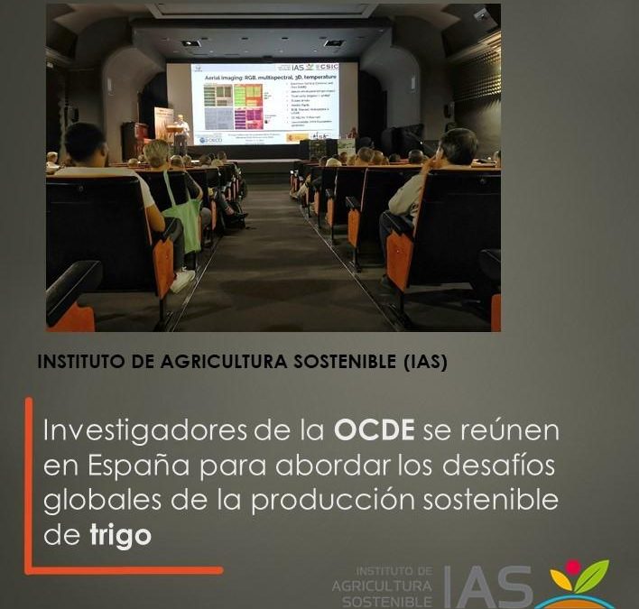 Investigadores de la OCDE se reúnen en España para abordar los desafíos globales de la producción sostenible de trigo