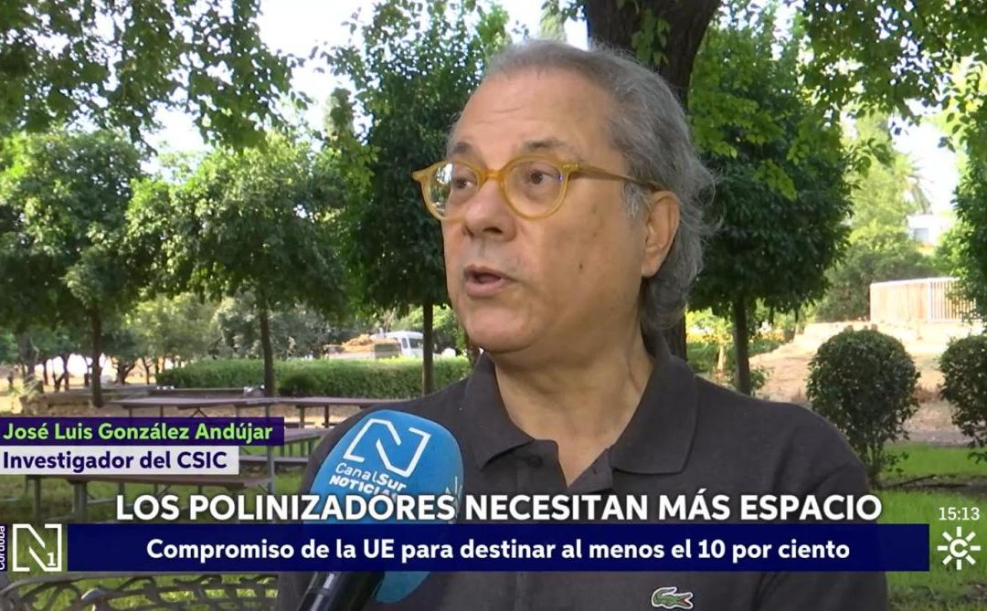 Los polinizadores necesitan más espacio – José Luis González Andújar