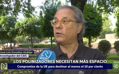 Los polinizadores necesitan más espacio – José Luis González Andújar