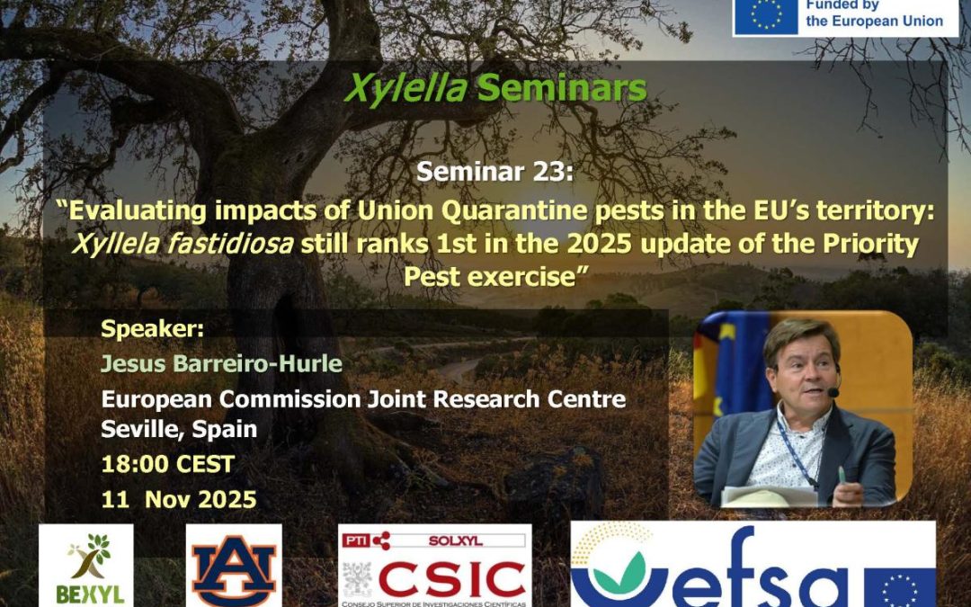 23th Xylella Seminar – Evaluating impacts of Union Quarantine pests in the EU’s territory: Xyllela fastidiosa still ranks 1st in the 2025 update of the Priority Pest exercise