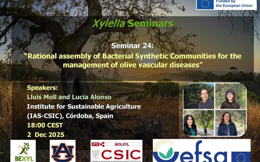 24th Xylella Seminar – Rational assembly of Bacterial Synthetic Communities for the management of olive vascular diseases