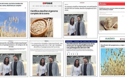 Seguimiento Noticia: Un consorcio científico internacional descifra el pangenoma y el origen de la avena