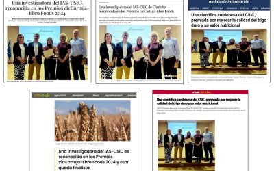 Seguimiento Noticia: Una investigadora del IAS-CSIC, reconocida en los Premios cicCartuja-Ebro Foods 2024