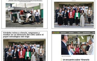 Seguimiento Noticia: Un encuentro reúne en Córdoba a investigadores, empresas y comunicadores en un “Itinerario Cicerón de la Conexión Trigo”
