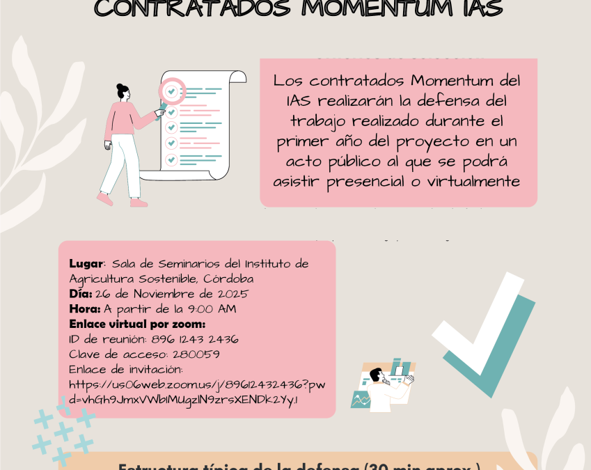 Evaluación de la Memoria Anual Contratados Momentum IAS