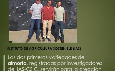 Las dos primeras variedades de almorta, registradas por investigadores del IAS-CSIC, servirán para la creación de la DOP Harina de Almorta La Solana