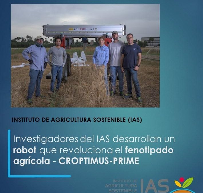 Investigadores del IAS desarrollan un robot que revoluciona el fenotipado agrícola