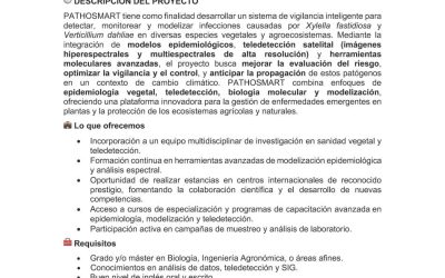 Oferta de Contrato Predoctoral PIF2025 en el IAS