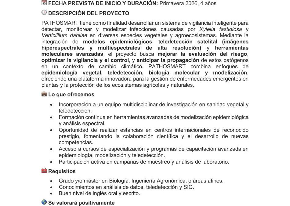 Oferta de Contrato Predoctoral PIF2025 en el IAS