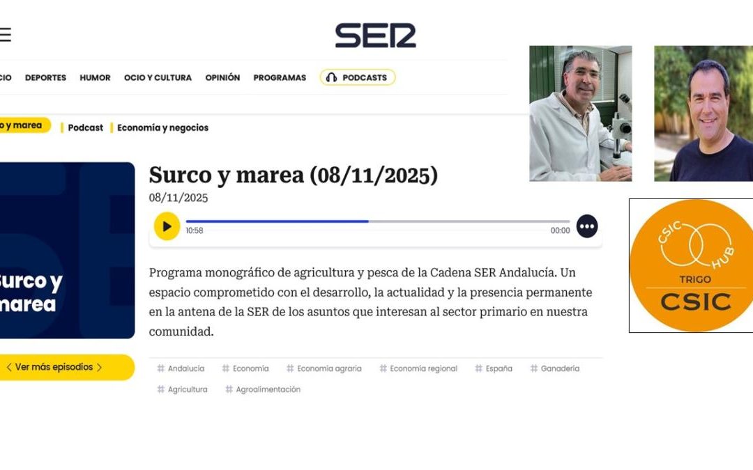 Itinerario Cicerón Trigo – Surco y Marea, Cadena Ser Andalucía – Francisco Barro, José A. Jiménez Berni