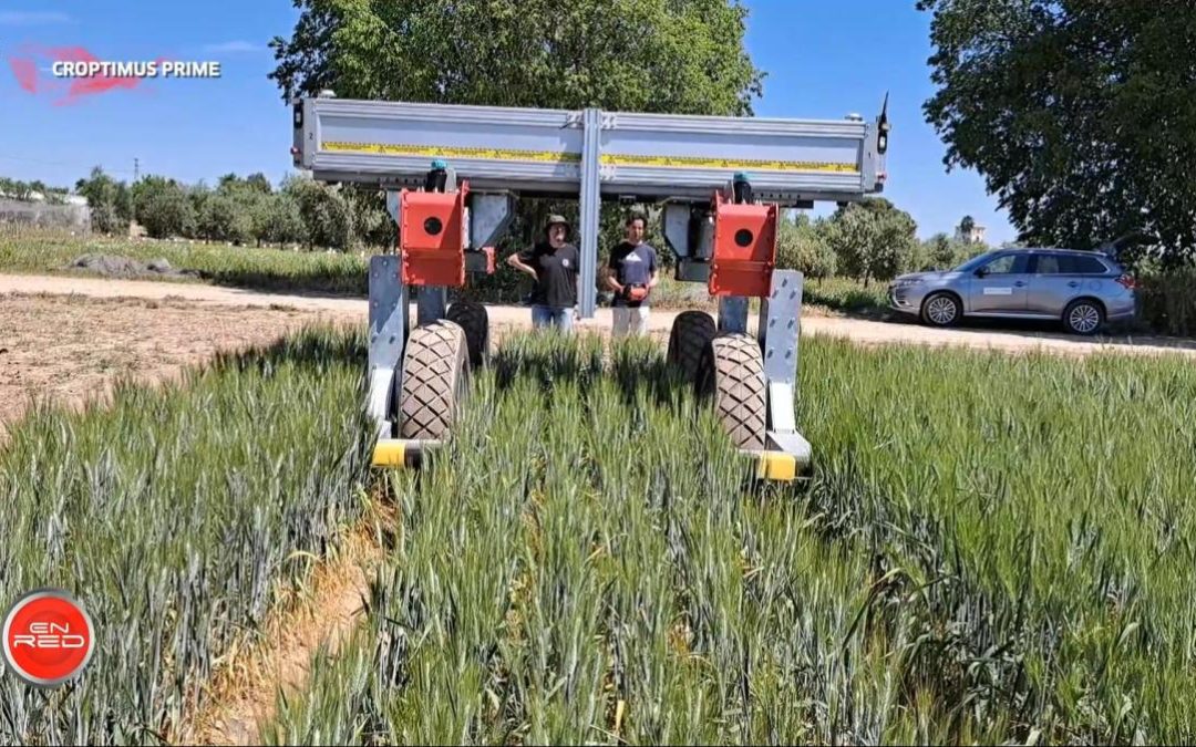 Reportaje Robot Agrícola Croptimus Prime en “EnRed” – Canal Sur TV