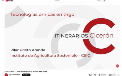 Vídeo “Tecnologías ómicas en trigo” – CSIC Cicerón Trigo, Pilar Prieto