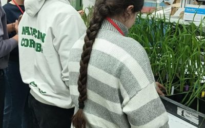 2ª Sesión Estudiantes Proyectos Fidiciencia en el IAS Curso 2025-2026
