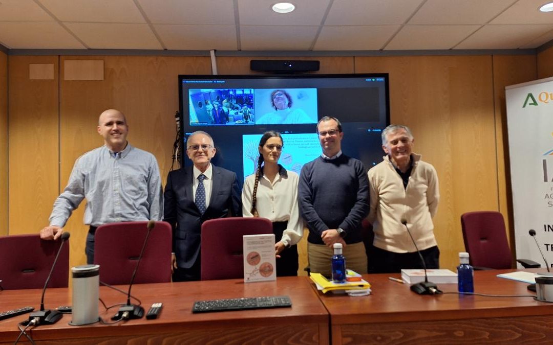 Tesis Doctoral – Ilenia Clavero Camacho