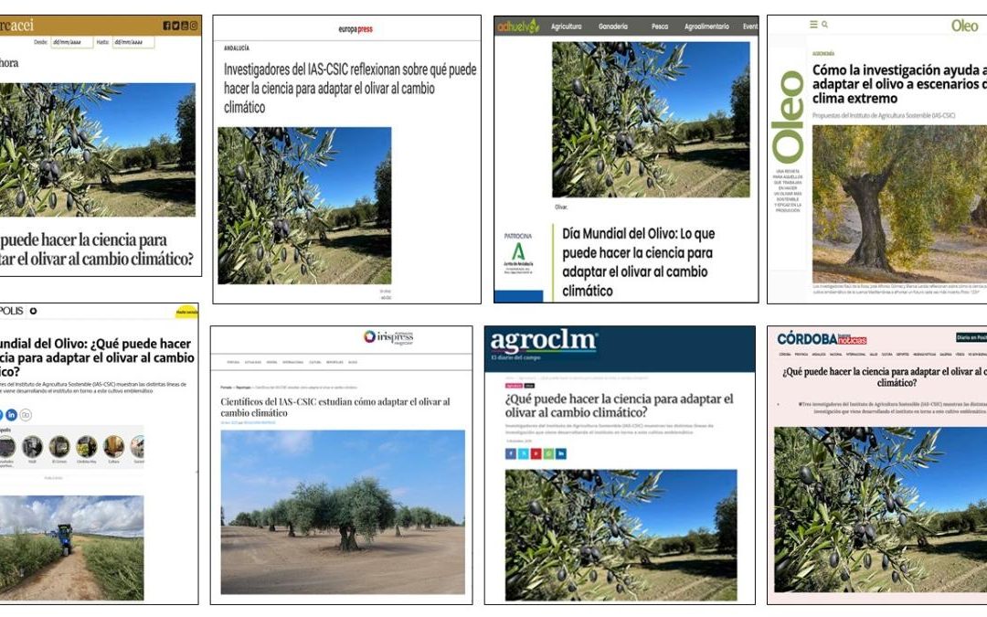 Seguimiento Noticia: Día Mundial del Olivo: ¿Qué puede hacer la ciencia para adaptar el olivar al cambio climático?