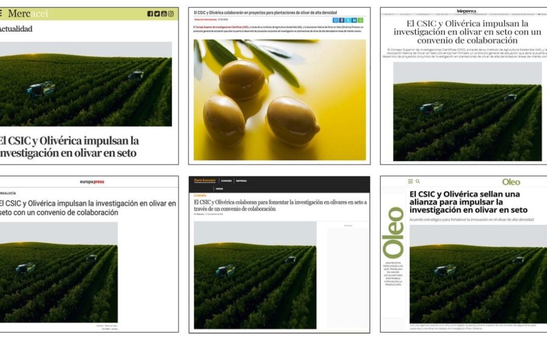 Seguimiento Noticia: El CSIC y Olivérica impulsan la investigación en olivar en seto con un convenio de colaboración