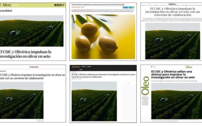 Seguimiento Noticia: El CSIC y Olivérica impulsan la investigación en olivar en seto con un convenio de colaboración