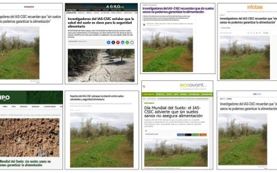 Seguimiento Noticia: Investigadores del IAS-CSIC recuerdan que sin suelos sanos no podemos garantizar la alimentación