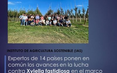 Expertos de 14 países ponen en común los avances en la lucha contra Xylella fastidiosa en el marco del proyecto europeo BeXyl