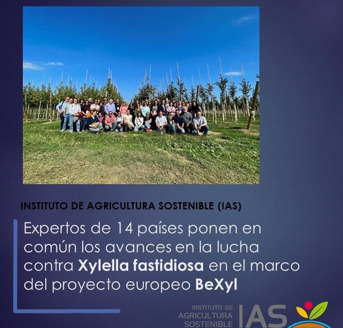 Expertos de 14 países ponen en común los avances en la lucha contra Xylella fastidiosa en el marco del proyecto europeo BeXyl
