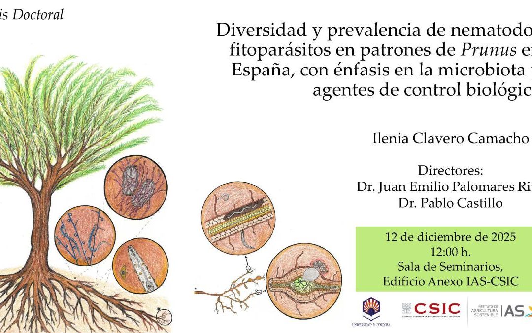 Defensa Tesis Doctoral – Ilenia Clavero Camacho