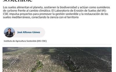 Suelos sanos para un planeta sostenible – José A. Gómez Calero