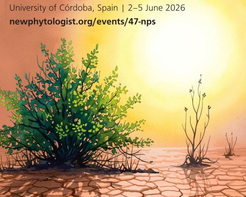 47th New Phytologist Symposium: Extreme Heat: extending the thermal limits of life