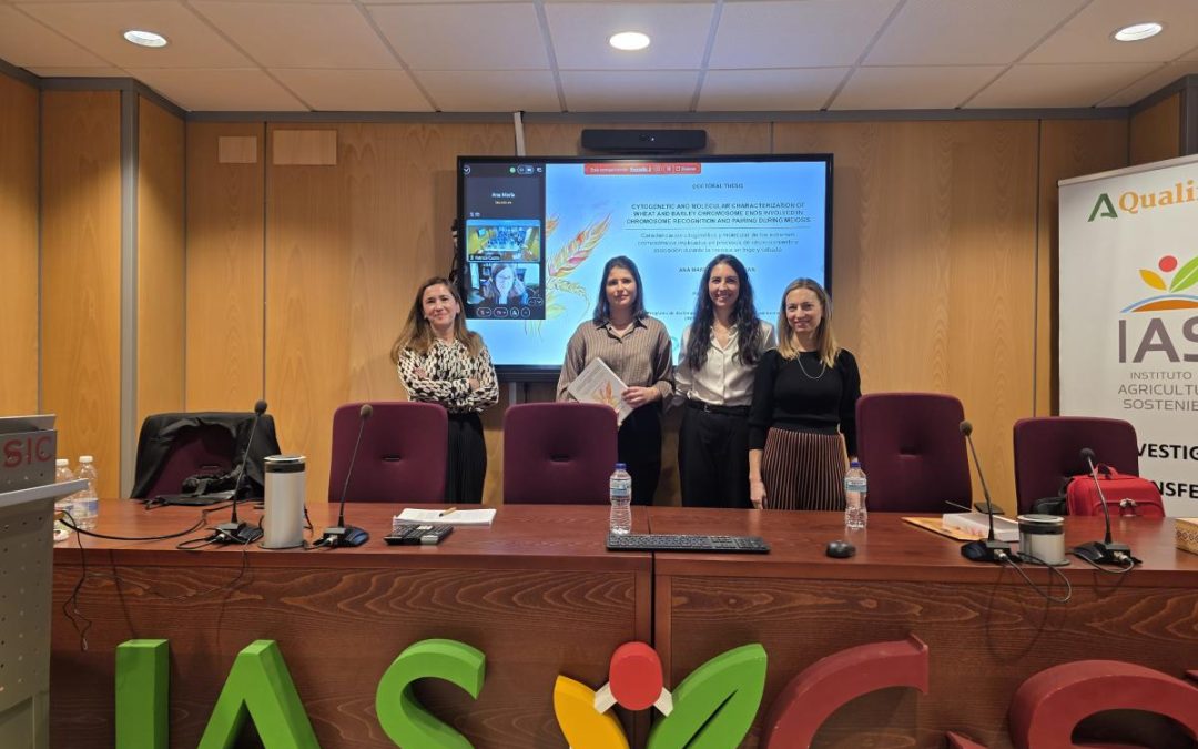 Tesis Doctoral – Ana María Gálvez Galván