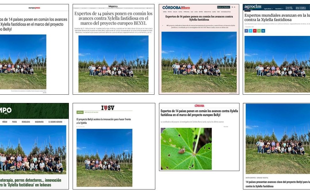 Seguimiento Noticia: Expertos de 14 países ponen en común los avances en la lucha contra Xylella fastidiosa en el marco del proyecto europeo BeXyl