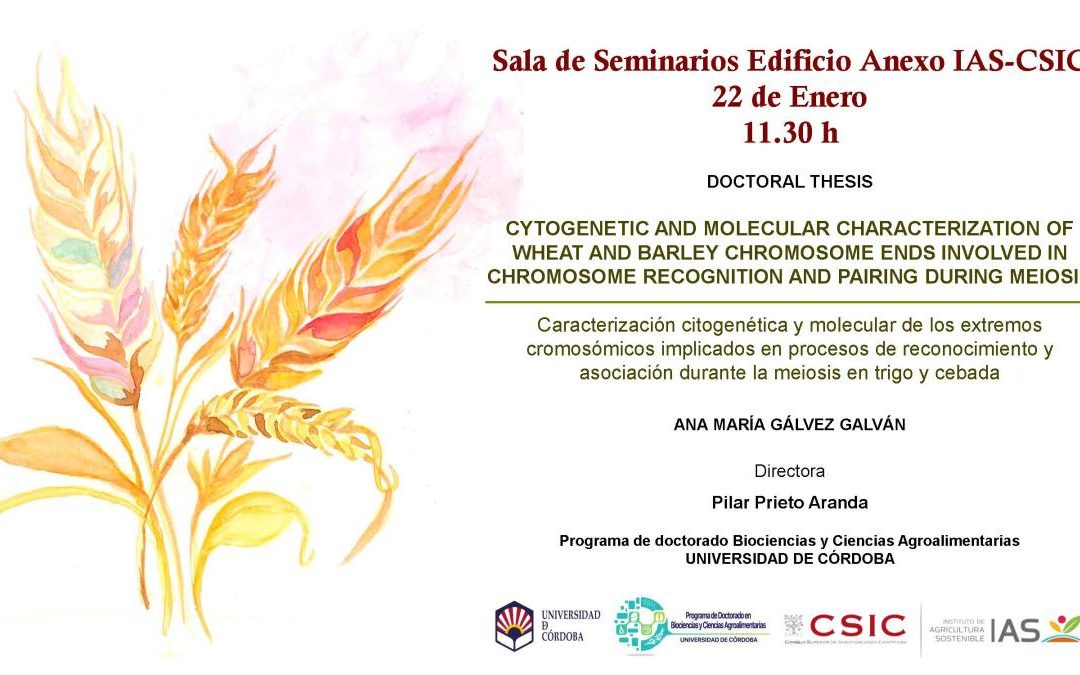 Defensa Tesis Doctoral – Ana María Gálvez Galván