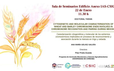 Defensa Tesis Doctoral – Ana María Gálvez Galván