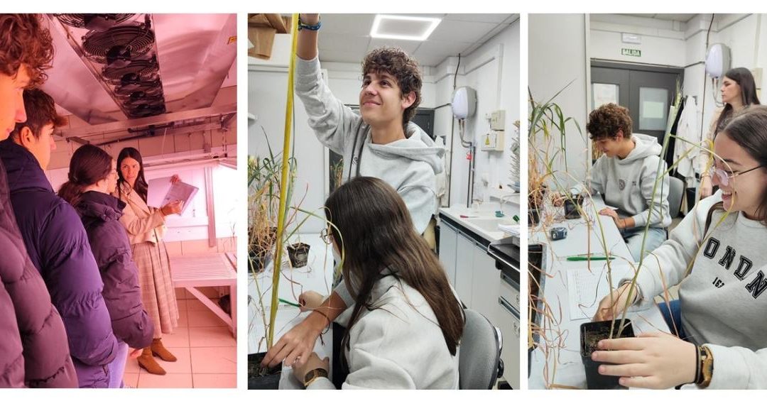 3ª Sesión Estudiantes Proyectos Fidiciencia en el IAS Curso 2025-2026